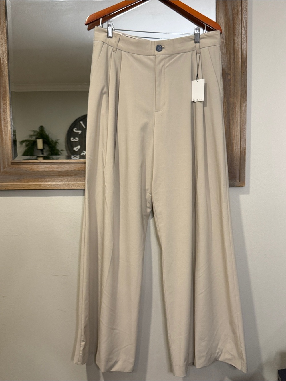 Zara Wide-Leg Pleated Pants in Light Beige